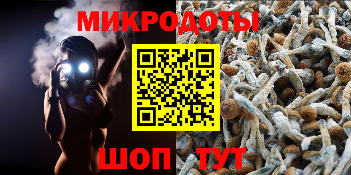 Псилоцибиновые грибы Magic Shrooms  Вход с VPN  наркота  Кемерово 